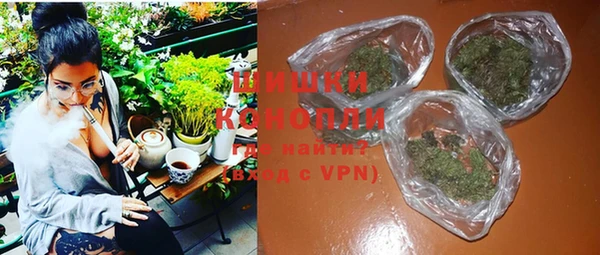 мдпв Горнозаводск
