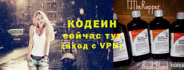 мдпв Горнозаводск