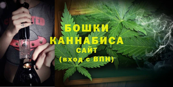 Альфа ПВП Горно-Алтайск