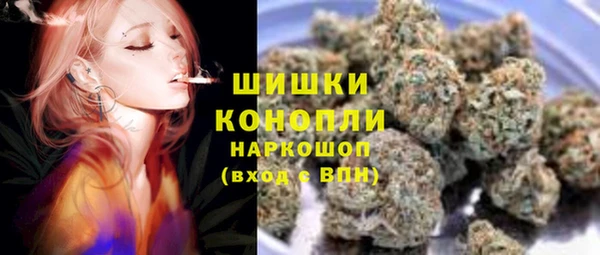 мдпв Горнозаводск